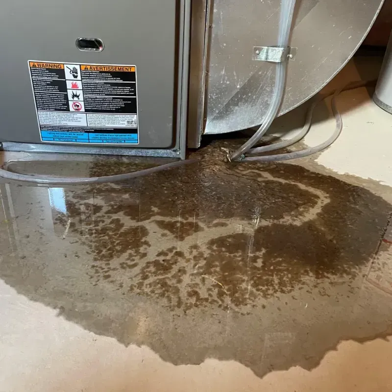 Appliance Leak Cleanup in Daniel, UT